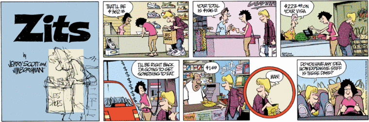 05-09-11 Zits